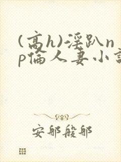 (高h)淫趴np伦人妻小说封面