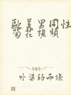 欧美男同性恋操菊花视频