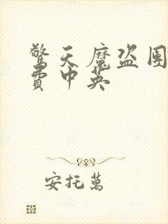 惊天魔盗团2免费中英