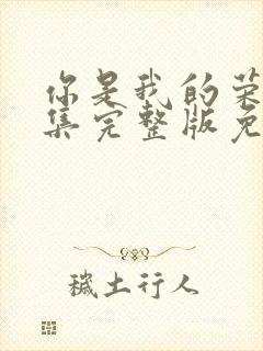 你是我的荣耀全集完整版免费观看