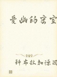 爱幽的密室小说