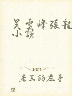 吴云峰张龙周晴小说封面