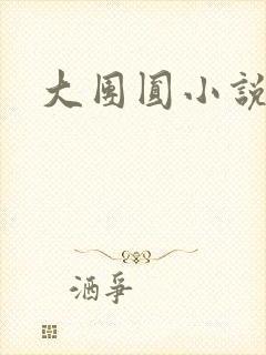 大团圆小说封面