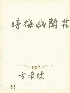 暗梅幽闻花封面