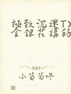 极致沉迷TXL金银花讲的什么