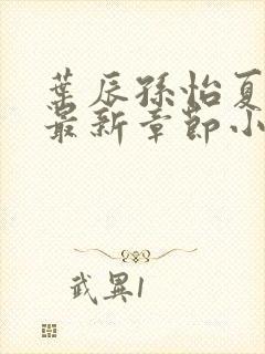 叶辰孙怡夏若雪最新章节小说心