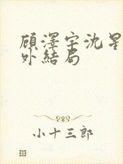 顾泽宇沈星晚番外结局