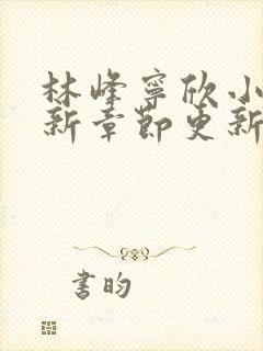 林峰宁欣小说最新章节更新免费阅读