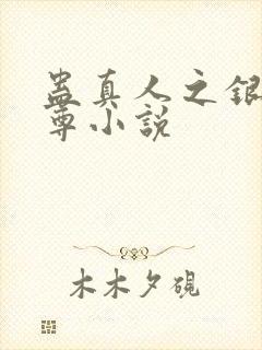 蛊真人之银邪魔尊小说