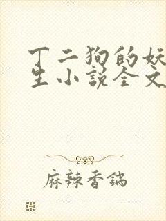 丁二狗的妖孽人生小说全文免费