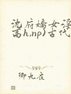 沈府娇女淫史(高h,np)古代