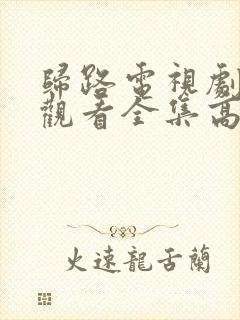 归路电视剧免费观看全集高清