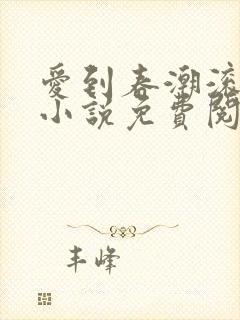 爱到春潮滚滚来小说免费阅读