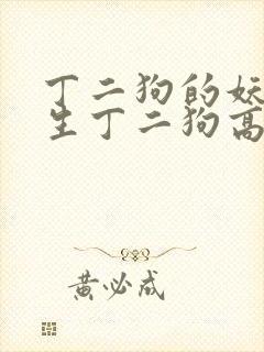 丁二狗的妖孽人生丁二狗高欣雅李丽娇