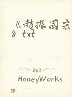 《赵振国宋婉清》txt