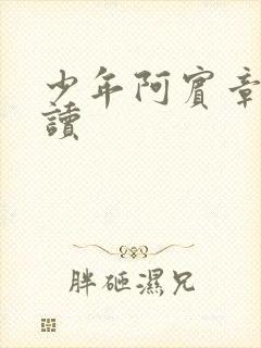 少年阿宾章节阅读