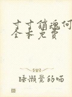 寸寸销魂何生祥全本免费