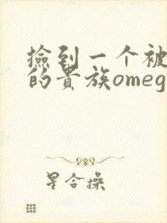 捡到一个被抹布的贵族omega