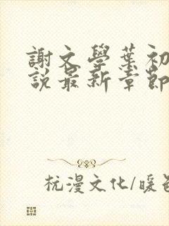 谢文学叶初瑗小说最新章节免费阅读