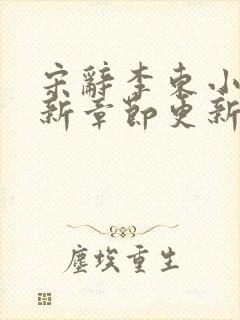 宋辞李东小说最新章节更新