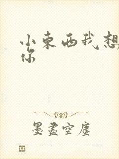 小东西我想弄坏你