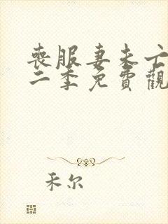 丧服妻未亡人第二季免费观看全集