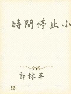 时间停止小说