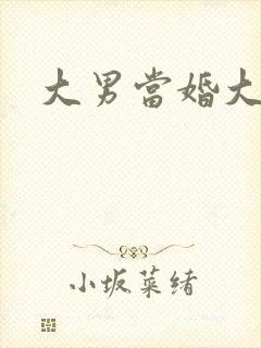 大男当婚大结局