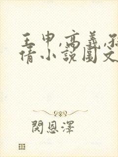 王申,高义,孙倩小说图文在线阅读