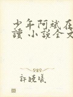 少年阿斌在线阅读 小说全文免费封面