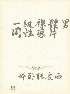 一级裸体男模特同性恋片封面