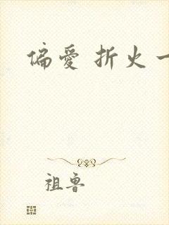 偏爱 折火一夏封面