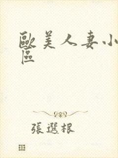 欧美人妻小说一区