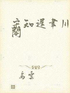 宋知迟聿川笔趣阁