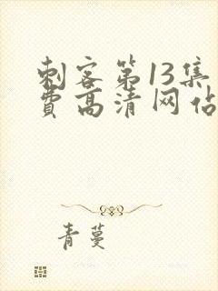 刺客第13集免费高清网站下载大全