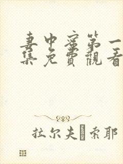 妻中蜜第一季全集免费观看