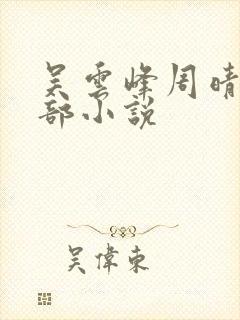 吴云峰周晴是哪部小说封面