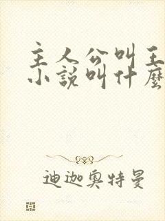 主人公叫王峰的小说叫什么名字