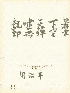 龙啸天下最新章节无弹窗笔趣阁封面