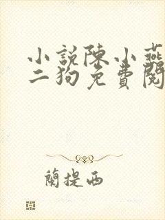 小说陈小燕,牛二狗免费阅读