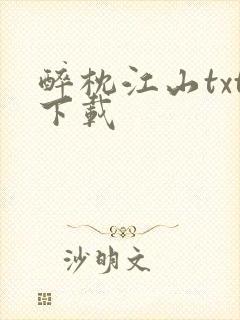 醉枕江山txt下载封面