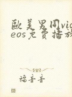 欧美男同videos免费播放封面