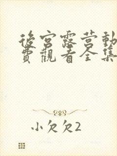 后宫露营动漫免费观看全集完整版封面