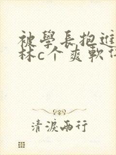 被学长抱进小树林c个爽软件