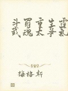 斗罗重生霍雨浩武魂太争气了笔趣阁