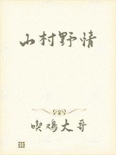 山村野情封面