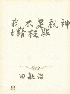 我不是戏神txt精校版