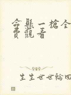 命悬一枪全集免费观看