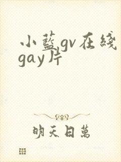 小蓝gv在线看gay片封面