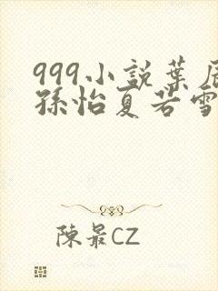 999小说叶辰孙怡夏若雪